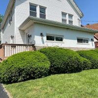 Baker Chiropractic And Wellness ico