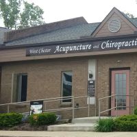 West Chester Acupuncture and Chiropractic: Dr. Burton T. Young, DC, DiplAc, FIAMA ico