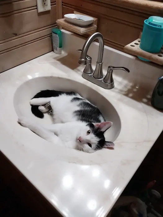 Everybody's Health Picture 2