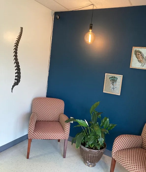Nexus Chiropractic and Acupuncture Picture 3