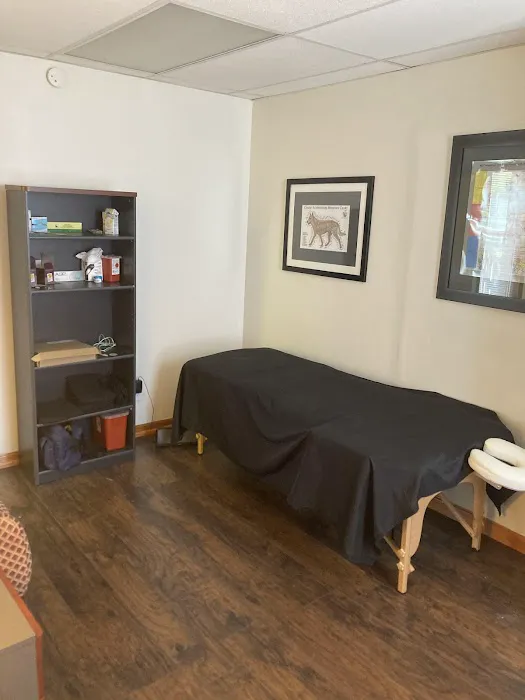 Nexus Chiropractic and Acupuncture Picture 10