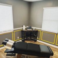 Fun Chiropractic ico