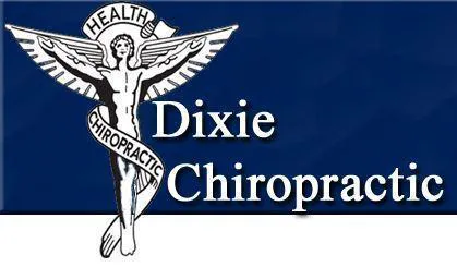 Dixie Chiropractic- Dayton Picture 1