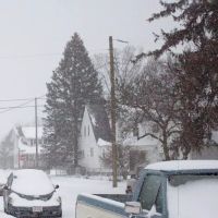 Neff Chiropractic ico