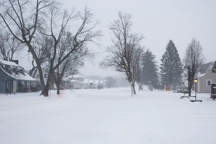 Neff Chiropractic Picture 2