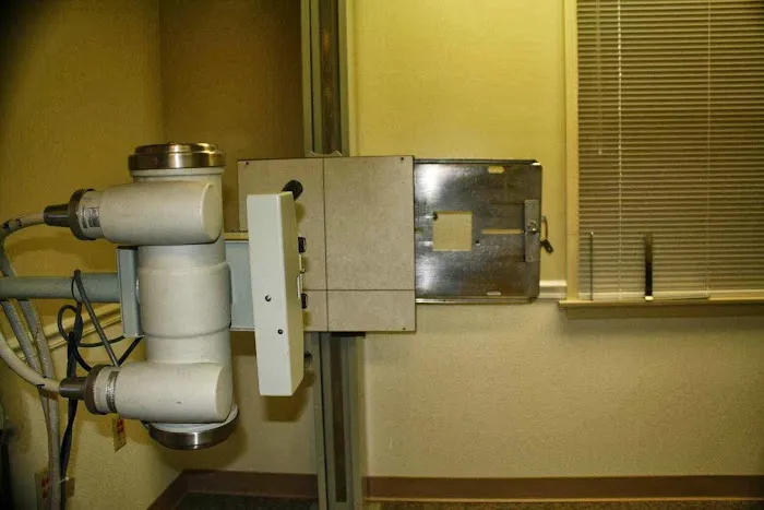 Englewood Chiropractic Picture 4