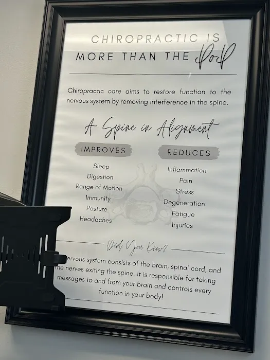 Englewood Chiropractic Picture 9