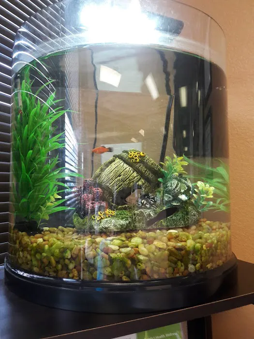 ReAlign Health and Wellness Center of Arlington, TX Picture 1