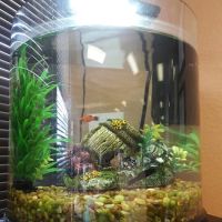 ReAlign Health and Wellness Center of Arlington, TX ico