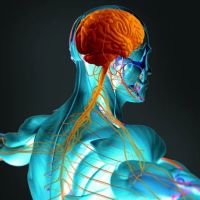 Trilogy Chiropractic Medicine ico