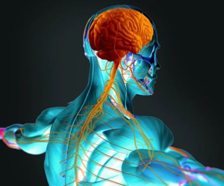 Trilogy Chiropractic Medicine