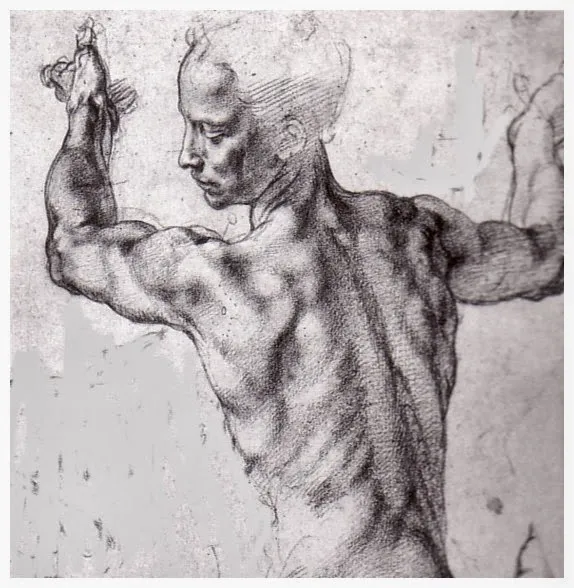 Silva Chiropractic Picture 7