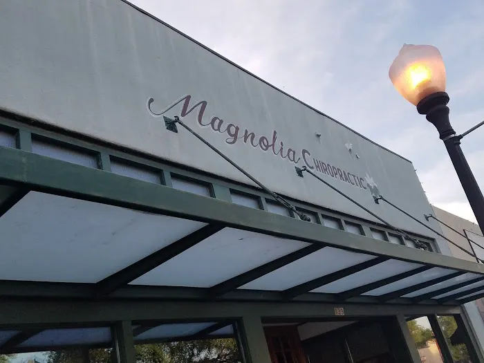 Magnolia Chiropractic, P.A. Picture 2
