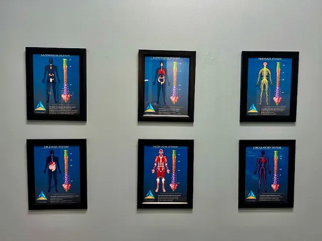 Mansfield Chiropractic Center LLC Picture 2