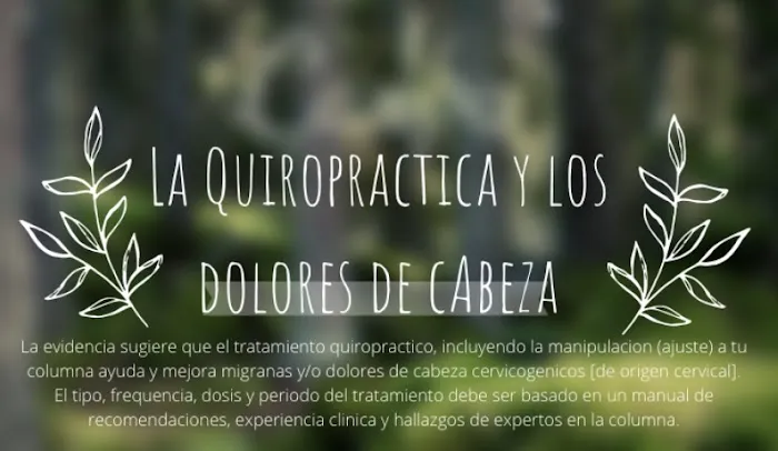 Integrihealth Chiropractic Picture 6