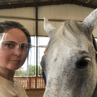 Collar & Saddle Animal Chiropractic ico