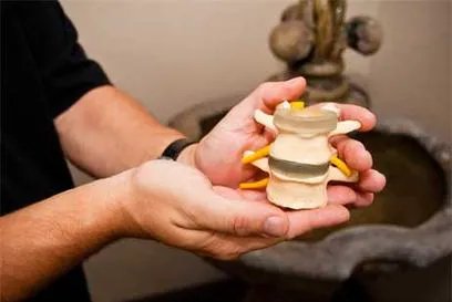 Green Oaks Spine & Sport Picture 2