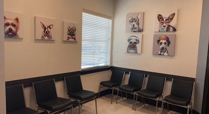 Bedford Injury Rehab & Chiropractic Picture 9