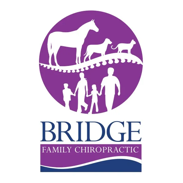 Bridge Family Chiropractic, Dr. Emily Puente Picture 3