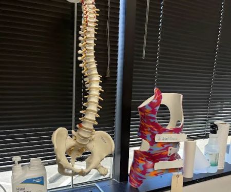 Spine Health & Wellness