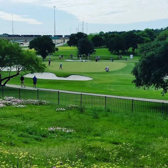 Alpha Life Chiropractic Picture 1