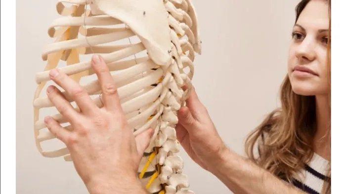 Mills Chiropractic Picture 1