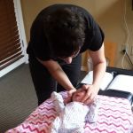 The Vine Family Chiropractic