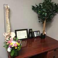 EZO Chiropractic ico