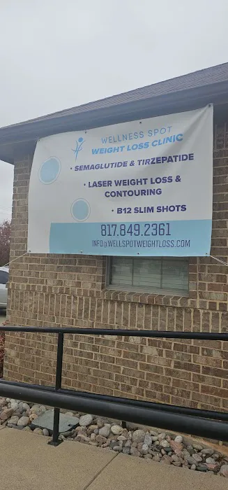 The Wellness Spot Chiropractic Picture 2