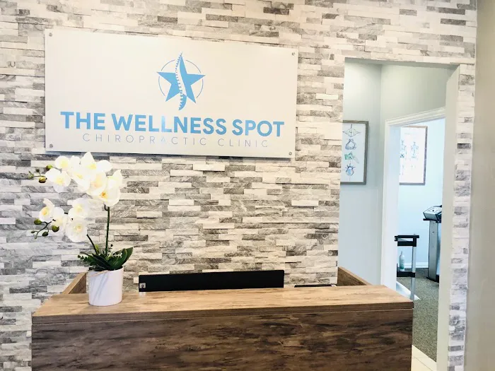 The Wellness Spot Chiropractic Picture 4