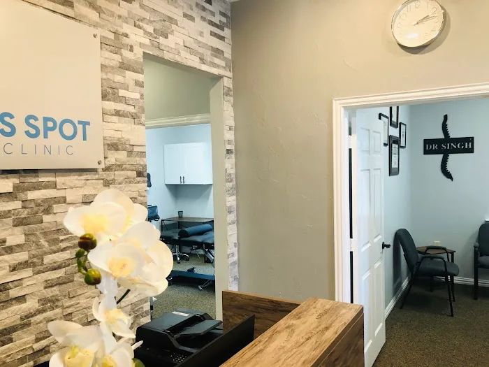 The Wellness Spot Chiropractic Picture 9
