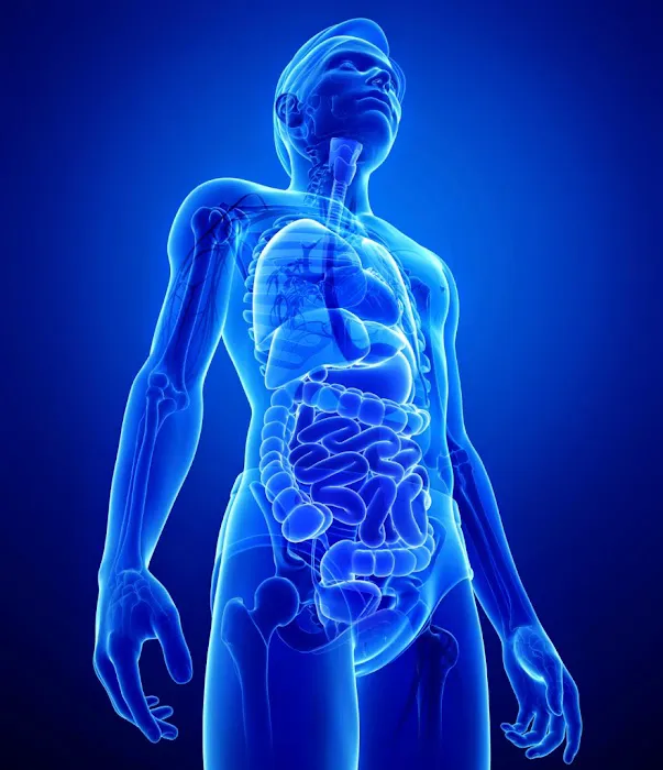 LiveWell Chiropractic & Wellness Picture 7
