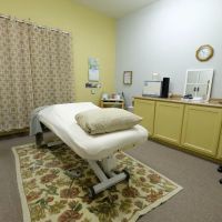 Dodge Family and Animal Chiropractic ico