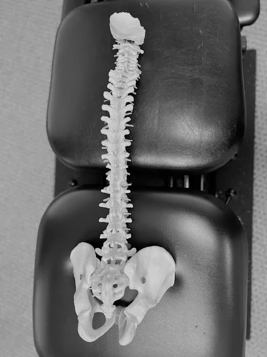 Texas Chiropractic Connection-Shilpa D. Khusal, DC Picture 6