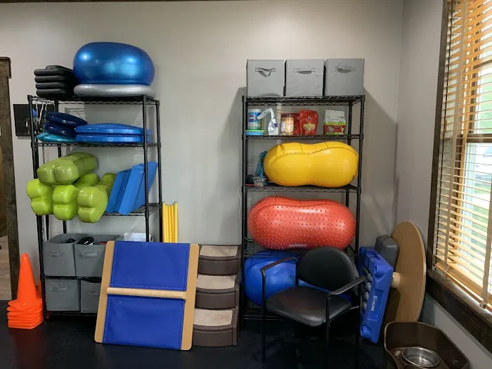 Rehab 4 Pets Picture 2