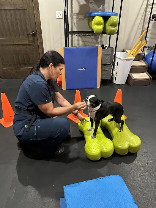 Rehab 4 Pets Picture 1