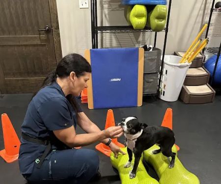 Rehab 4 Pets