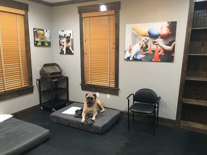 Rehab 4 Pets Picture 10