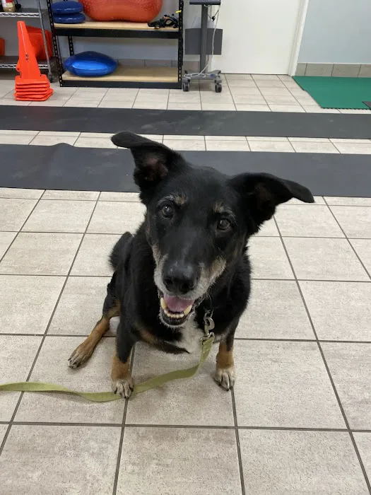 Rehab 4 Pets Picture 6