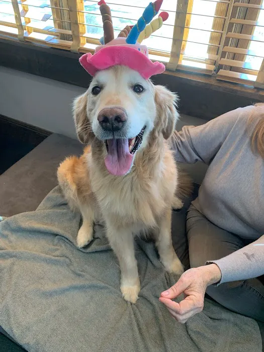 Rehab 4 Pets Picture 9