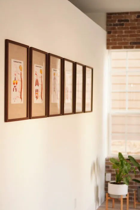 The House of Chiropractic | Vitalistic Wellness Studio Picture 2