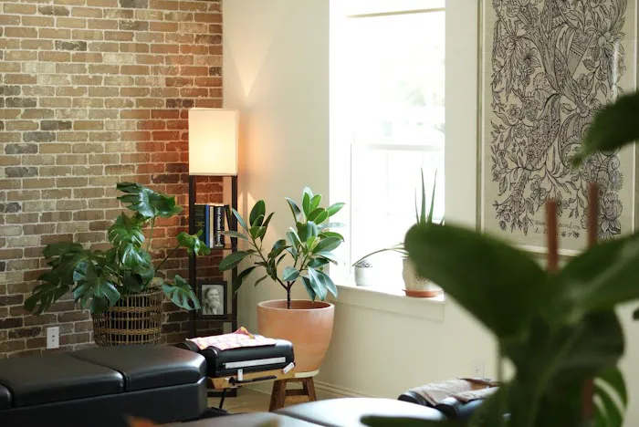 The House of Chiropractic | Vitalistic Wellness Studio Picture 8