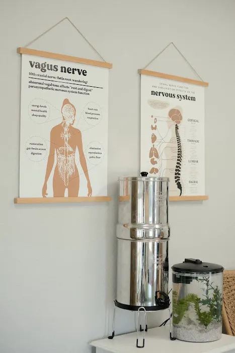 The Chiro Co. Picture 6