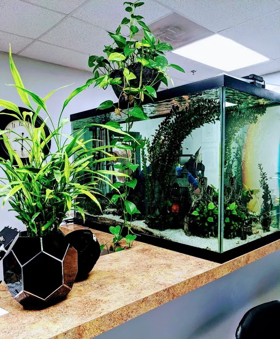 Advanced Medical of North Texas - Chiropractor Picture 4