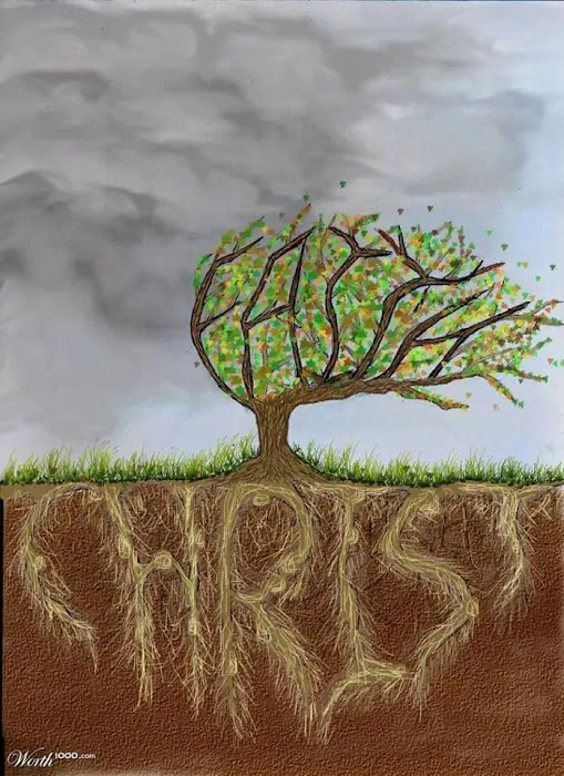 Resonate Wellness Chiropractic Picture 5