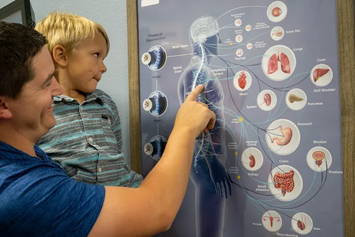 Clairton Family Chiropractic Picture 2