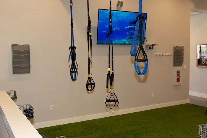 FreeForm Chiropractic - North Fort Worth Chiropractor | Spinal Decompression, Muscle Therapy, Massage & Injury Rehab Picture 10