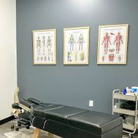 Peak Health, Chiropractic and Dry Needling ico