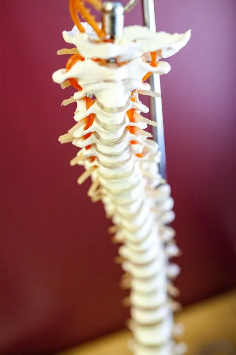 Serenity Chiropractic & Family Wellness Center Picture 6