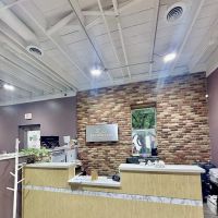 Palmercare Chiropractic Fort Worth ico